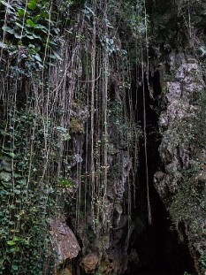 DSC09224